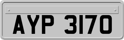 AYP3170