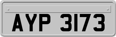 AYP3173