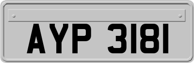 AYP3181