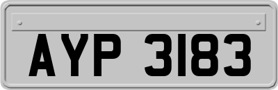 AYP3183