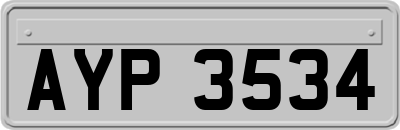 AYP3534
