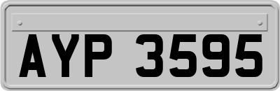 AYP3595