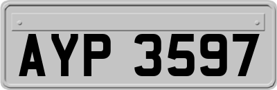 AYP3597
