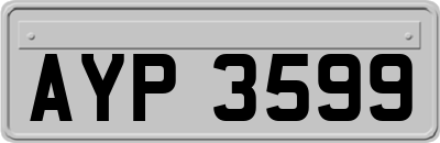 AYP3599