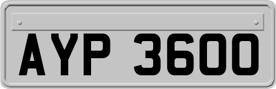 AYP3600
