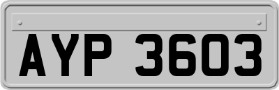 AYP3603