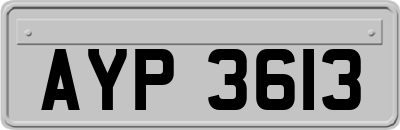 AYP3613
