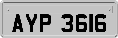 AYP3616