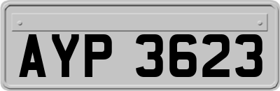 AYP3623