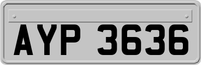 AYP3636