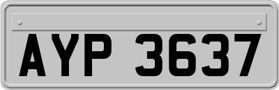 AYP3637