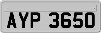 AYP3650