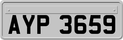 AYP3659