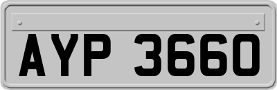 AYP3660