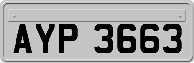AYP3663