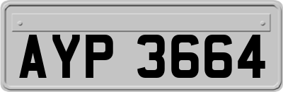 AYP3664