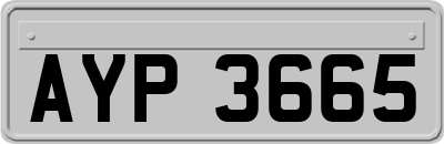 AYP3665