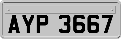 AYP3667