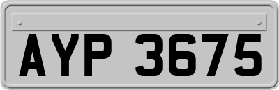 AYP3675