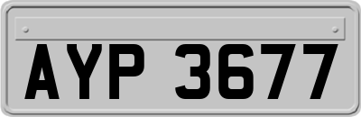 AYP3677