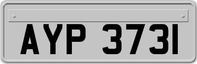 AYP3731