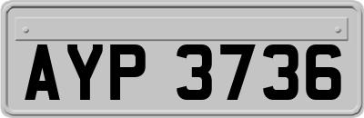 AYP3736