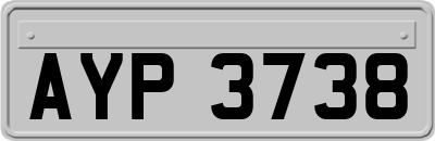 AYP3738