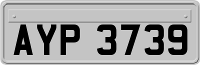 AYP3739