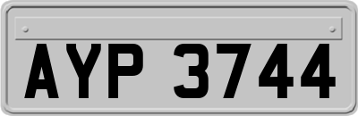 AYP3744