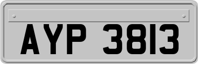 AYP3813