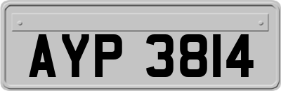AYP3814