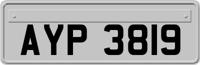 AYP3819