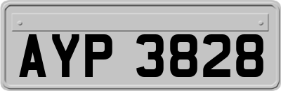 AYP3828