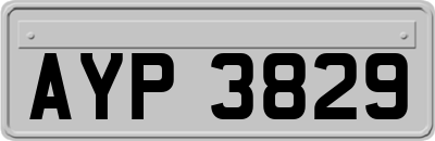 AYP3829
