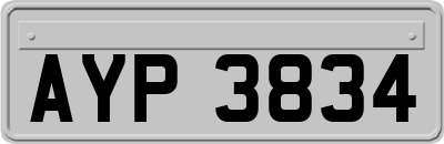 AYP3834