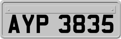 AYP3835