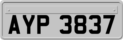 AYP3837