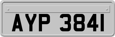 AYP3841