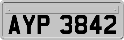 AYP3842