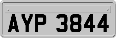 AYP3844
