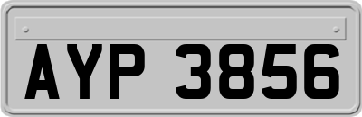 AYP3856