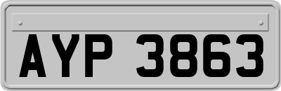 AYP3863