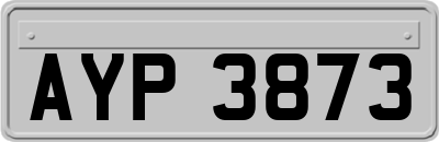 AYP3873