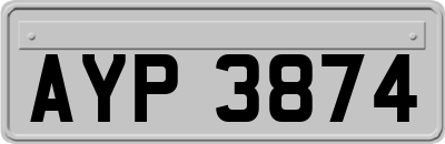 AYP3874