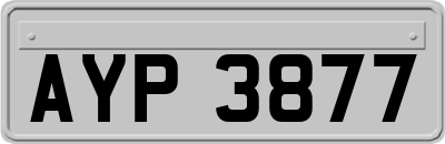 AYP3877