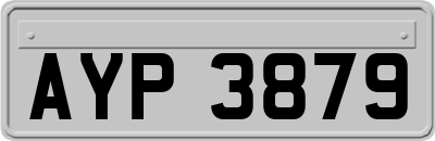 AYP3879