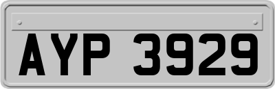 AYP3929