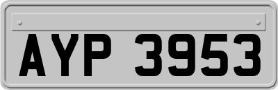 AYP3953