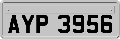 AYP3956