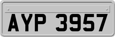 AYP3957